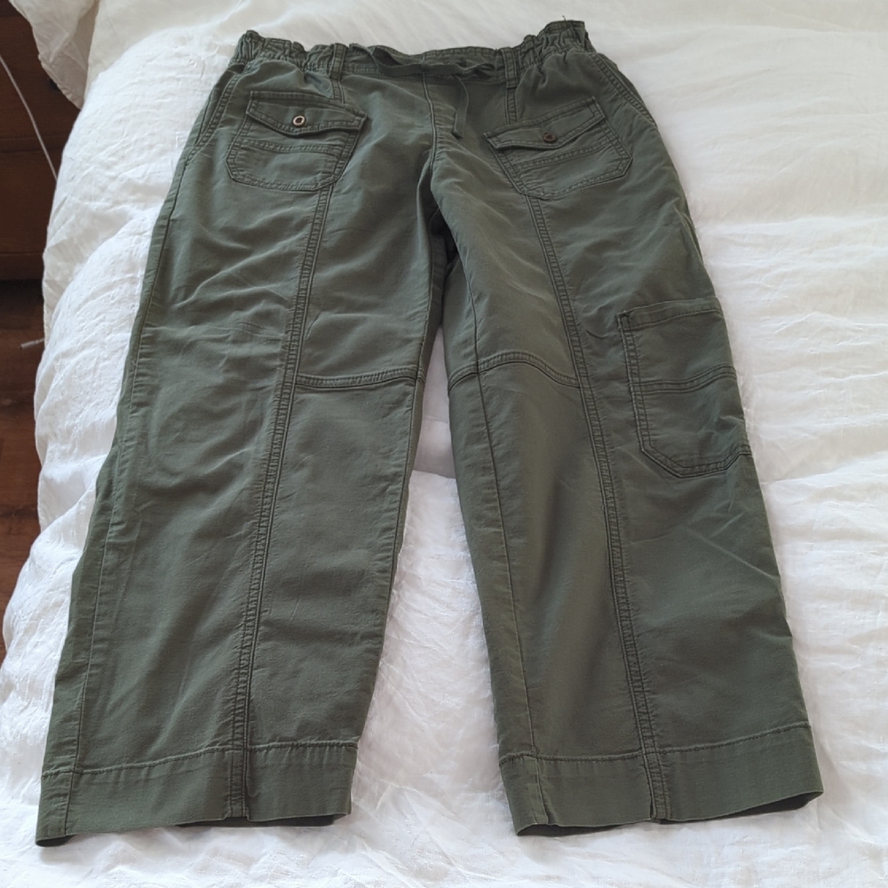 Pilcro Cropped Cargo Pants XS    NWOT